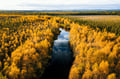 Come see Autumn colours with Canoe in Lapland Finland Levi
