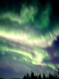 Aurora Borealis Experience Levi