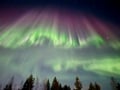 Aurora Borealis Experience Levi