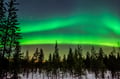 Aurora Borealis Experience Levi