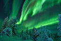 Aurora Borealis Experience Levi