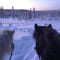 Private - Icelandic Horseback Riding in Levi (By request)
