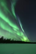 Northern Lights Discovery Tour With Professional Photography
