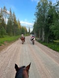 Small group horseback riding in village Pyhäjärvi