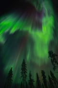 Arctic Aurora Chase by Snowmobile
