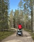 Private Family Biking Tour