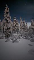 Evening snowshoe tour