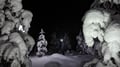 Evening snowshoe tour