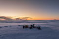 Snow Safari in Paistunturi Wilderness Area, half-day tour with wilderness lunch