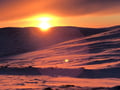 Snow Safari in Paistunturi Wilderness Area, half-day tour with wilderness lunch