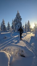 Back-country skis and camp fire