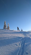 Back-country skis and camp fire