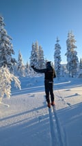 Back-country skis and camp fire