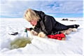 Fisherman's Luck by snowmobile
