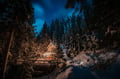 Nighttime Snowshoe Adventure in Levi