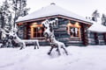 Magic of the Forest and Log Sauna Winter, 4 hours (Private Tour)