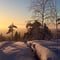 Magic of the Forest and Log Sauna Winter, 4 hours (Private Tour)