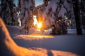 Snowshoe adventure in the Wilderness