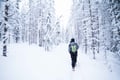 Snowshoe adventure in the Wilderness