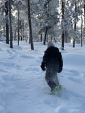 Full Arctic Adventure for Family (Private)