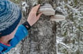 Arctic Wilderness Hike