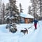 Husky Experience in Arctic Lapland *Kittilä / Levi Meeting Point