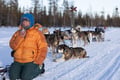 Family Husky Experience in Arctic Lapland