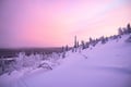 Family Husky Experience in Arctic Lapland