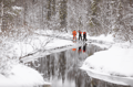 Winter SUP