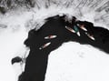 Winter SUP