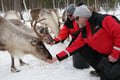 Meet the Reindeer like a local with a snowmobile sled, Levi