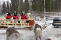 Meet the Reindeer like a local with a snowmobile sled, Levi