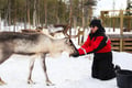 Meet the Reindeer like a local with a snowmobile sled, Levi