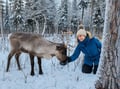 Meet the Reindeer like a local with a snowmobile sled, Levi