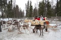 Meet the Reindeer like a local with a snowmobile sled, Levi