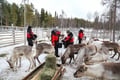 Meet the Reindeer like a local with a snowmobile sled, Levi