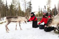 Meet the Reindeer like a local with a snowmobile sled, Levi
