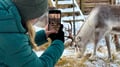 Meet the Reindeer like a local with a snowmobile sled, Levi