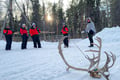 Meet the Reindeer like a local with a snowmobile sled, Levi