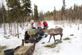 Meet the Reindeer like a local with a snowmobile sled, Levi