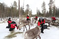 Meet the Reindeer like a local with a snowmobile sled, Levi