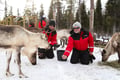 Meet the Reindeer like a local with a snowmobile sled, Levi