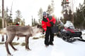 Meet the Reindeer like a local with a snowmobile sled, Levi