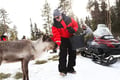 Meet the Reindeer like a local with a snowmobile sled, Levi