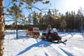 Meet the Reindeer like a local with a snowmobile sled, Levi