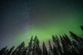 Rovaniemi Insider Aurora Train at Night
