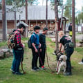 Hiking with Huskies, Husky Park, Siberian Husky, Rovaniemi Lapland