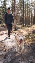 Hiking with Huskies, Husky Park, Siberian Husky, Rovaniemi Lapland
