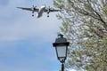 Keflavik Airport (KEF) ↔ Reykjavik: Private Airport Transfer