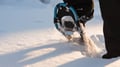 Snowshoeing in the Arctic Circle Forest